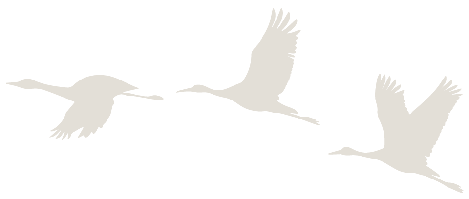 South Brook Landing Pg_R2_Assets-16 A graphic of three sand cranes