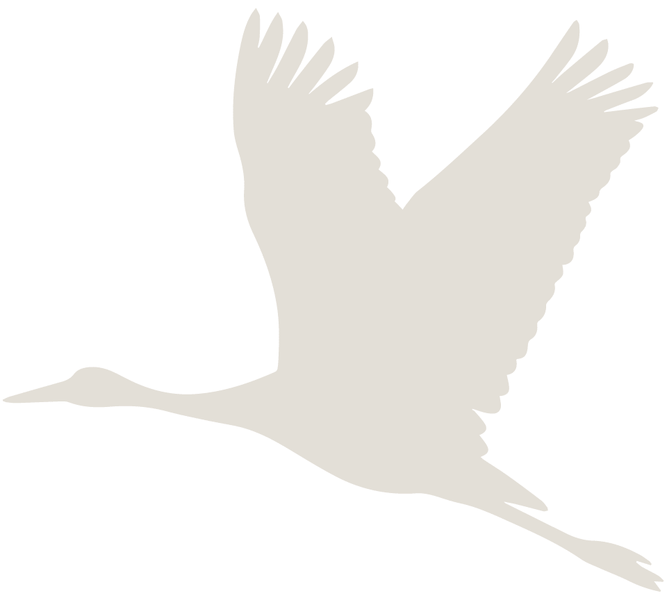 South Brook Webdesign_R6_Welcome Center_Luke-04 An outline of a bird flying
